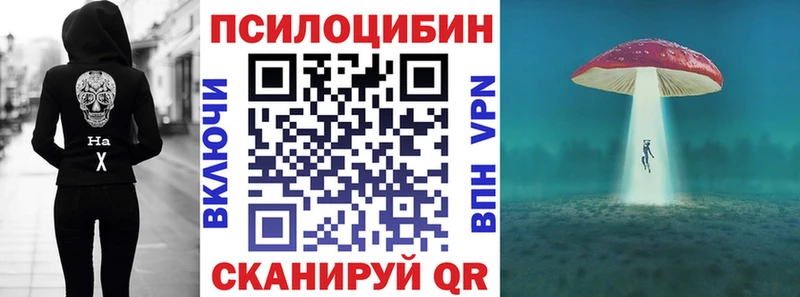 наркотики  Нижний Тагил  Псилоцибиновые грибы ЛСД 